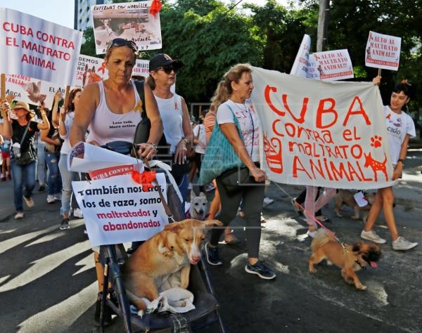 ¿Por qué se celebra en Cuba el Día del Perro?
